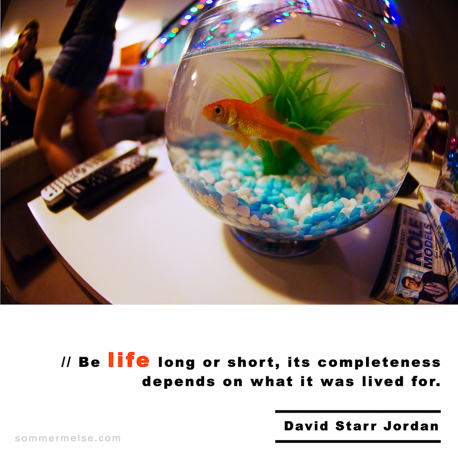 Visual Inspiration 365 - Be life long or short - David Starr Jordan