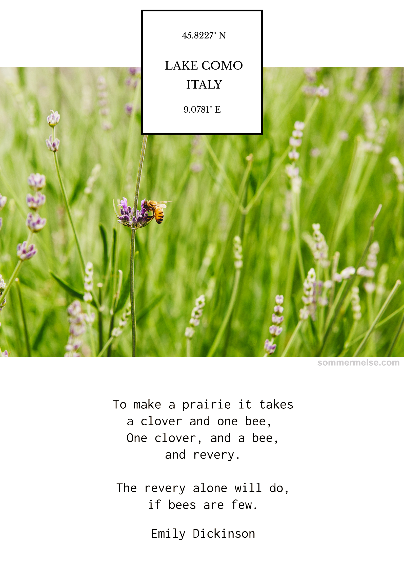 29_finding_wonder_lake_como_to_make_a_prairie_bee_emily_dickinson_quote
